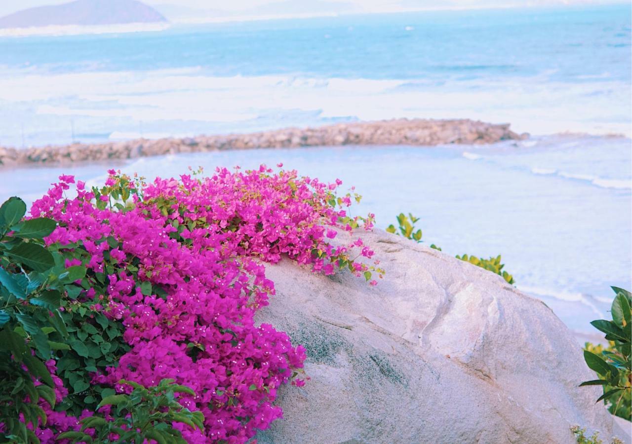 Wild Beach Boutique Resort Ninh Phuoc Exterior photo